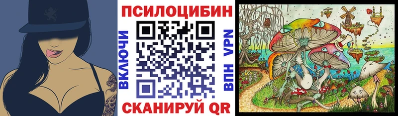 где можно купить наркотик  нарко площадка официальный сайт  Галлюциногенные грибы MAGIC MUSHROOMS  Дубна 